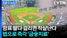 "이익 몰수할 예정"...암표상들 후회하게 될 과징금 수준 [지금이뉴스] / YTN