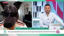 Momentazo en pleno directo en la televisión balear: Un ‘therian’ irrumpe al grito de "¡Perro Sánchez, hijo de puta!"