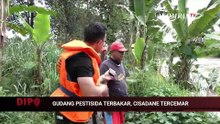 Pegiat lingkungan: 1 Juta Ikan Mati Akibat Keracunan Residu Kimia di Sungai Cisadane