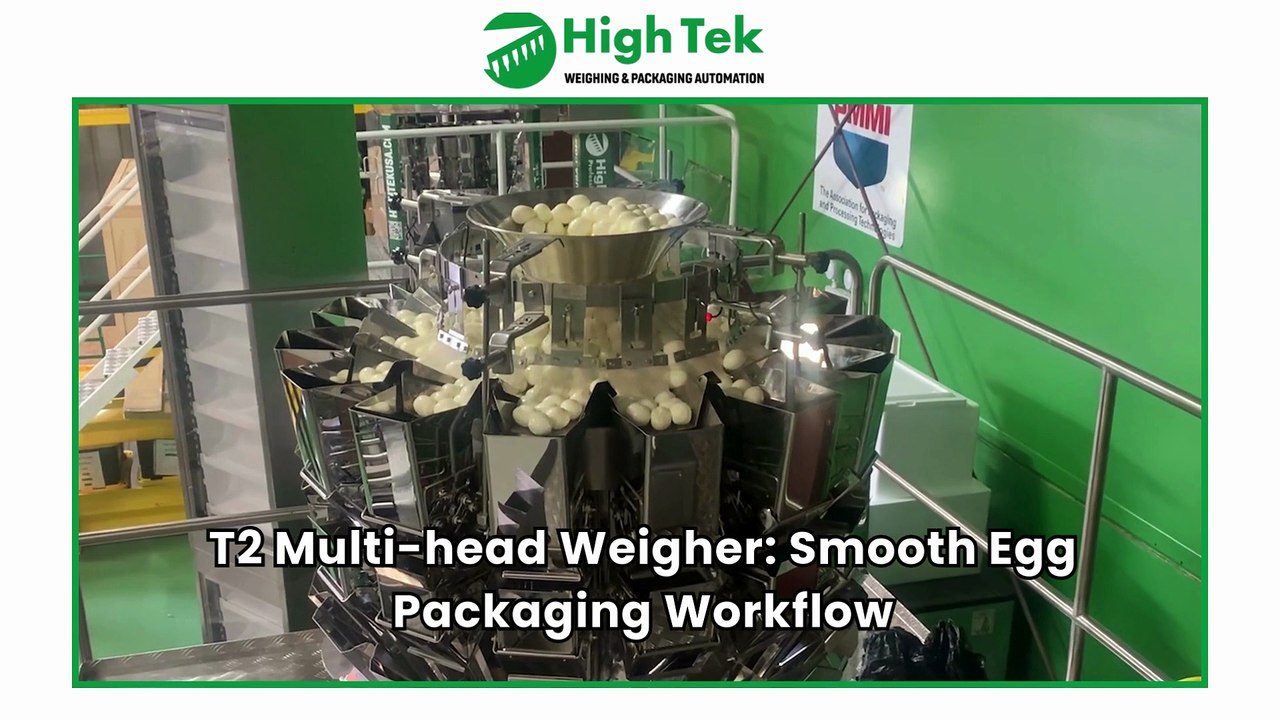T2 Multi-head Weigher Smooth Egg Packaging Workflow