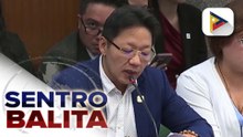 Petisyon ni Curlee Discaya, ibinasura ng Pasay RTC; detention sa Senado, pinagtibay