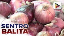 D.A., mahigpit ang monitoring sa farmgate price ng mga lokal na sibuyas; direct market linkage ng onion farmers at institutional buyers, pinaiigting
