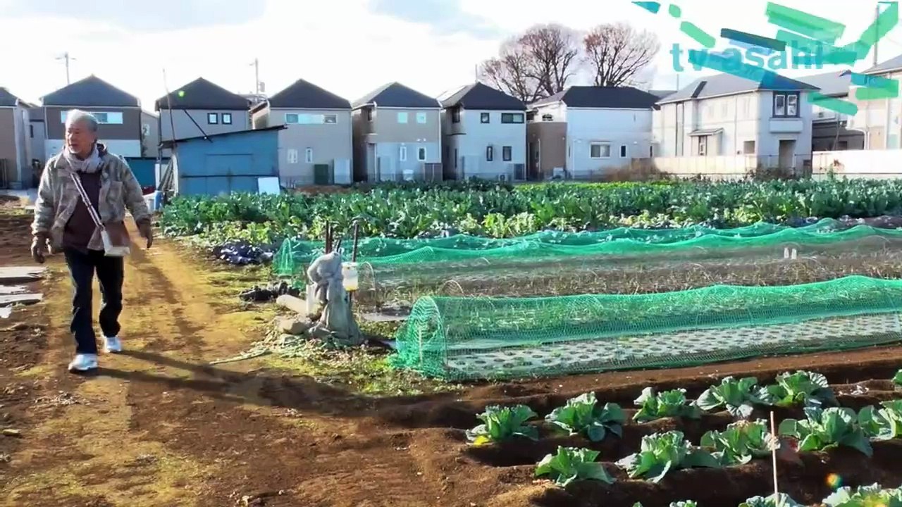 じゅん散歩  動画　2026年02月24日 5mio