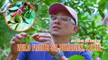 Ilang wild fruits, matitikman sa isang trail sa Buruaen, Leyte | Biyahe ni Drew