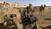 Sahara : Le Territoire des Djinns