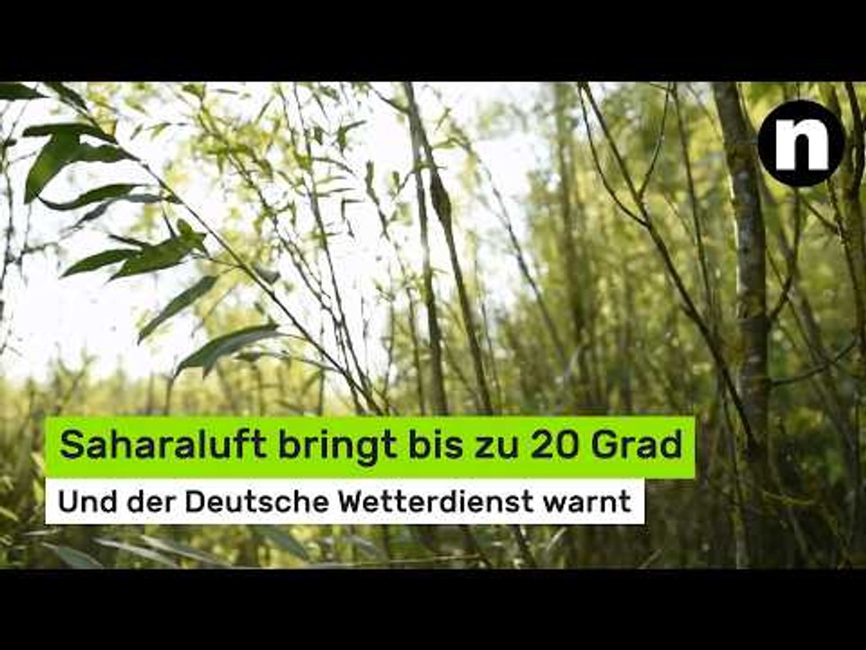 Hammer-Temperaturen: Saharaluft bringt bis zu 20 Grad - und der Deutsche Wetterdienst warnt