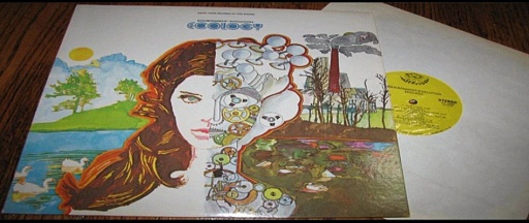 Ecology — Environment Evolution 1970 (USA, Psychedelic, Folk Rock)