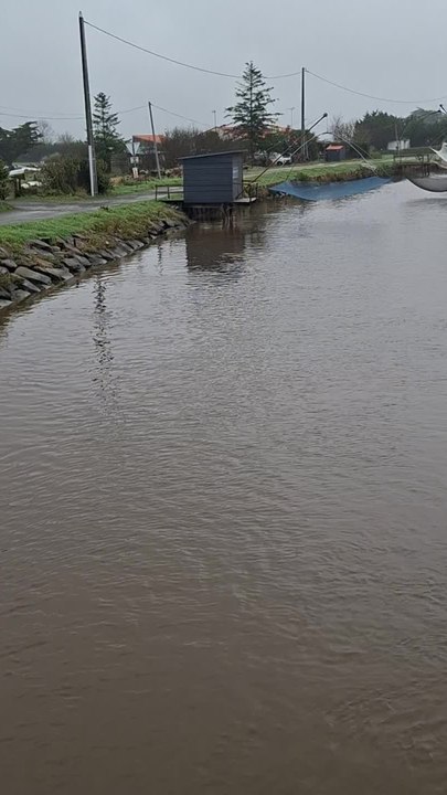 "Il faut évacuer au plus vite" : en Vendée, le marais breton gorgé d'eau