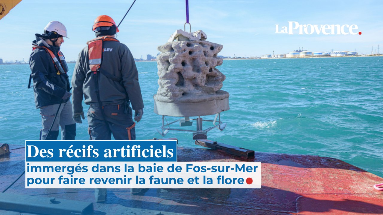 Des récifs artificiels immergés dans la baie de Fos-sur-Mer pour faire revenir la faune et la flore