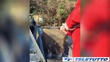 Video News - Via alla pesca sportiva