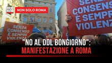 500 centri antiviolenza si mobilitano: la manifestazione nazionale a Roma contro il DDL Bongiorno