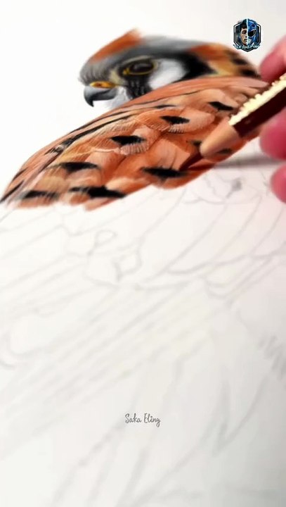 How to Convince Paper It Is Actually a Falcon