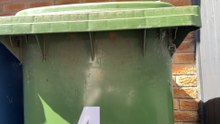Green Bin Collections Restart Across Liverpool