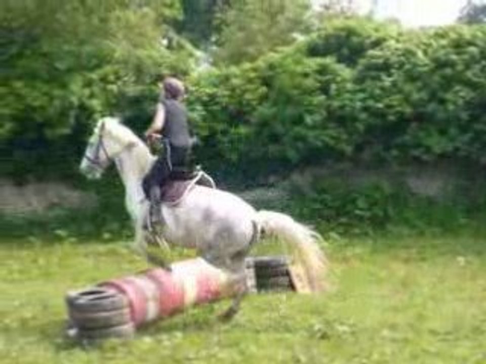 Cso-video-Naja 010