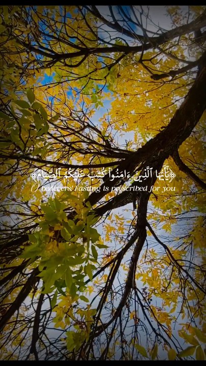 🌙✨ Surah Al-Baqarah (2:183–184) — سورة البقرة 🤍 The Call to Fast — A Path to Taqwā 🌿🌙 #loce #Quran #Ramadan #Fasting #viral #shorts #trending #youtubeshorts #SurahAlBaqarah #IslamicReminder