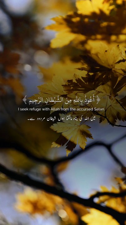 🤍✨ Surah Al-Ikhlāṣ (112:1–4) — سورة الإخلاص 🌙 The Essence of Tawḥīd 💎☝️ #love #Quran #Tawheed #Ikhlas #viral #shorts #trending #youtubeshorts #IslamicReminder #SurahAlIkhlas