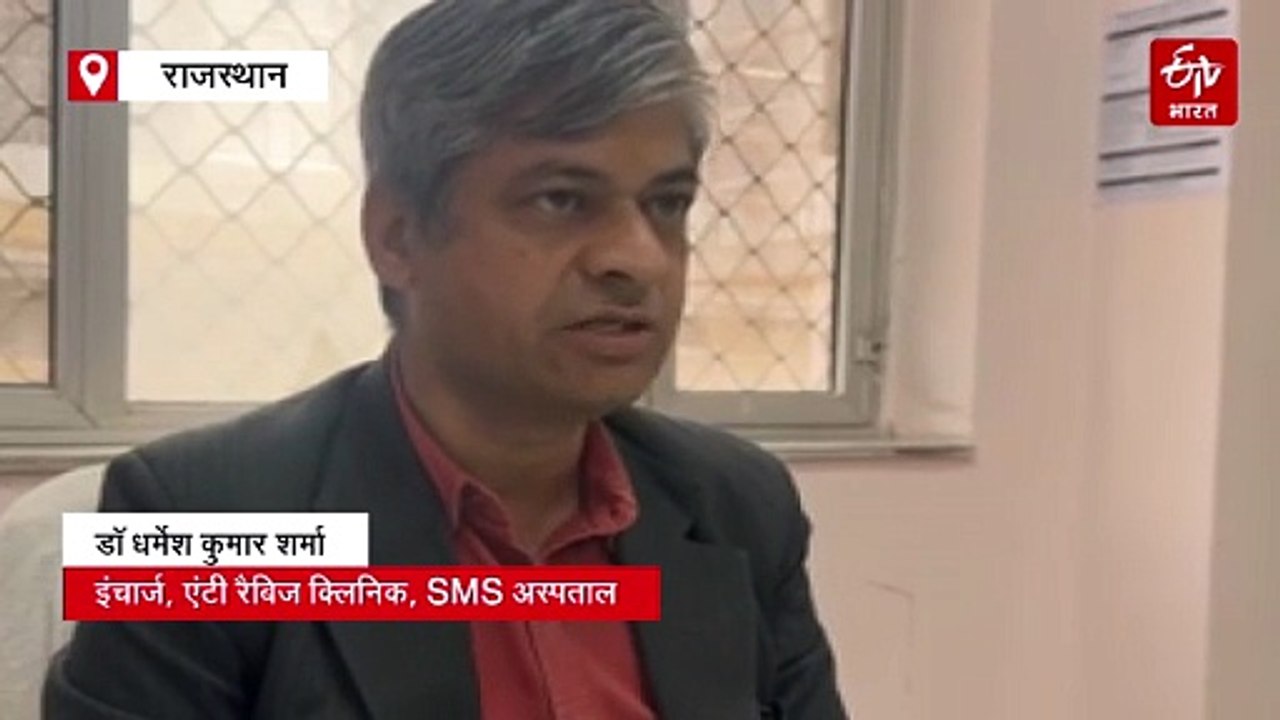जयपुर में स्ट्रीट डॉग्स का आतंक: डेढ़ माह में 1000 से ज्यादा डॉग बाइट के मामले आए सामने