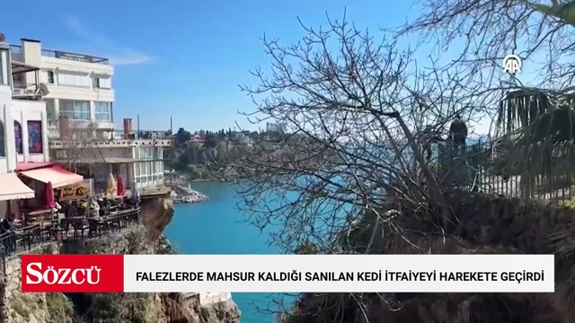 Antalya'da falezlerde mahsur kaldığı sanılan kedi itfaiyeyi harekete geçirdi