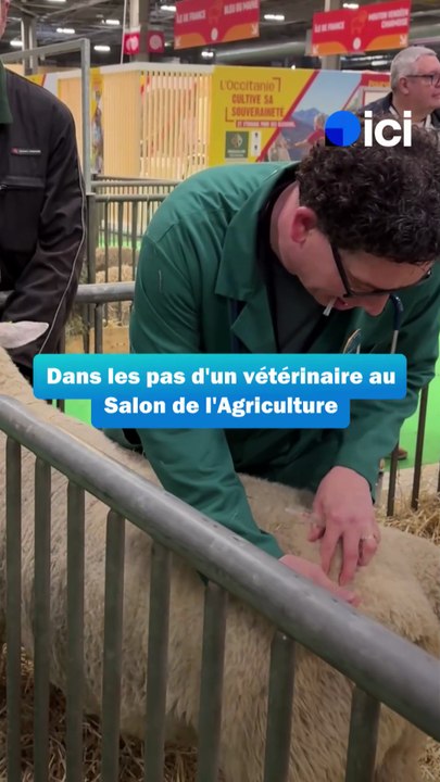Dans les pas d'un vétérinaire au Salon de l'Agriculture