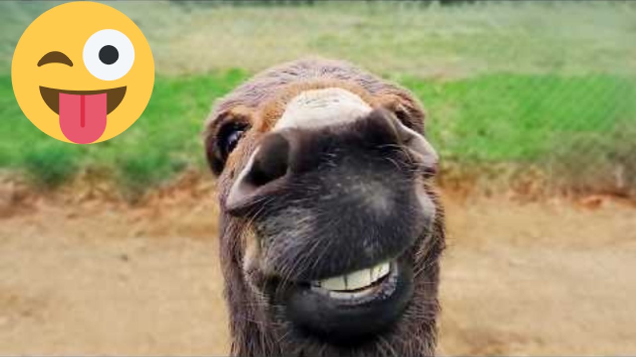 Top Viral Fails & Laugh Challenge Moments 😁 – Best of 2026