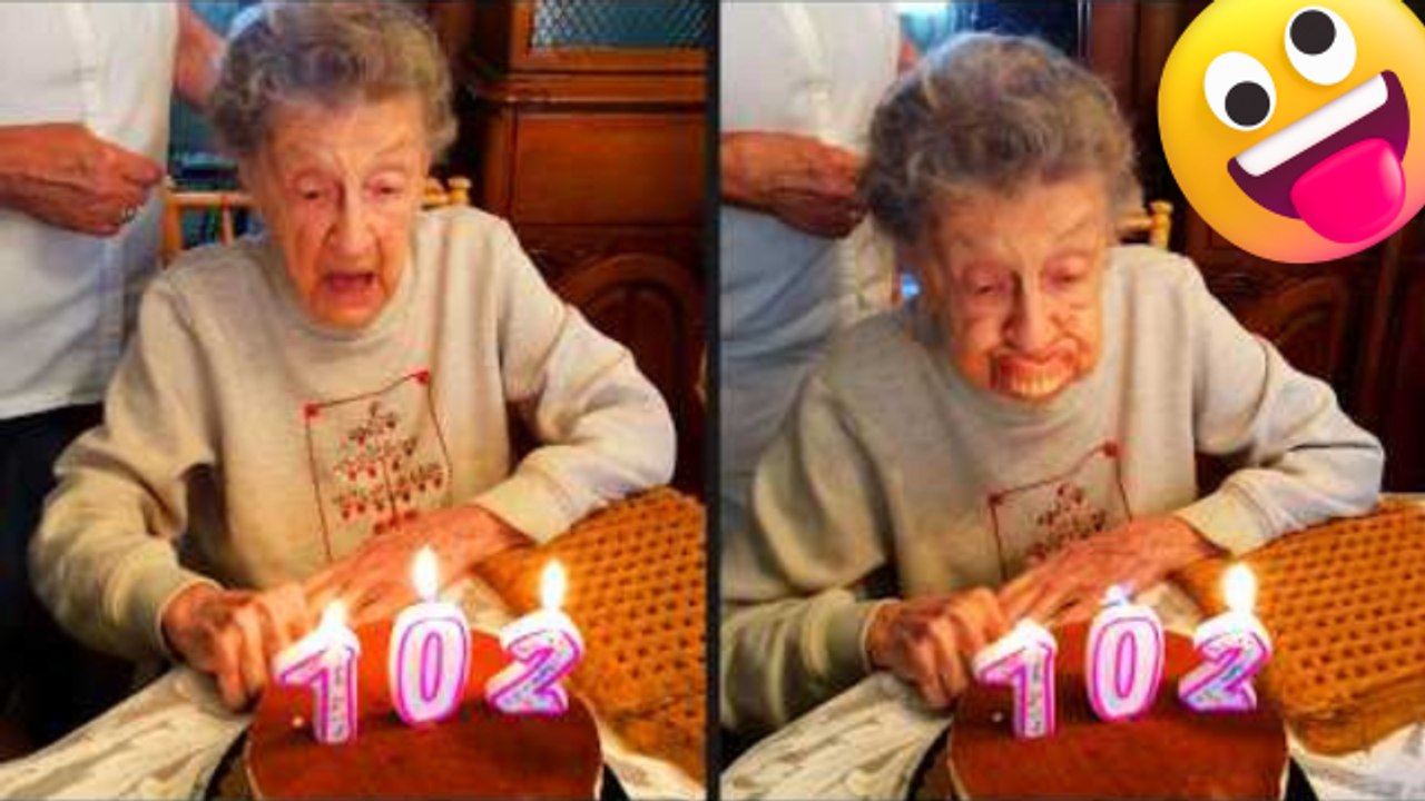 Top 100 Funniest Videos Ever 🤣  Try Not To Laugh Challenge