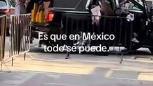🎥 La senadora Ruth González Silva, del Partido Verde, se encuentra en medio de la polémica luego de que circulara un video donde aparece subiendo a su camioneta con múltiples bolsas de El Palacio de Hierro en San Luis Potosí.