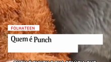 Quem é Punch e sua pelúcia que viralizaram na internet