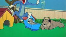 Tom And Jerry - 082 - Hic Cup Pup [1954]