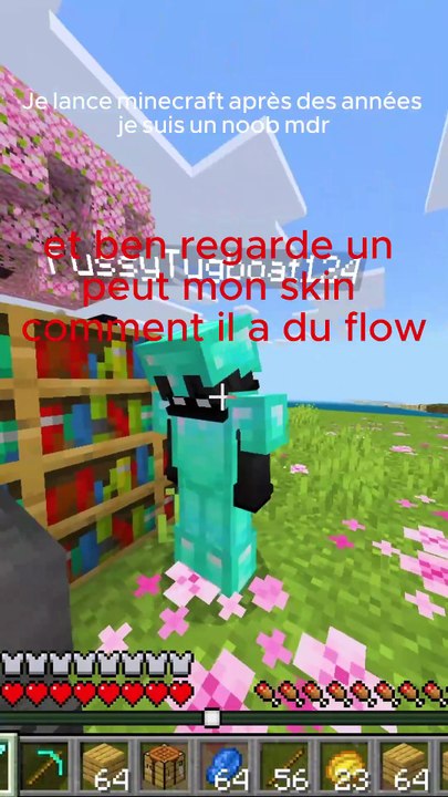 Minecraft