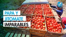 Jitomate, papa y tomate verde: los alimentos que más encarecieron la vida en febrero