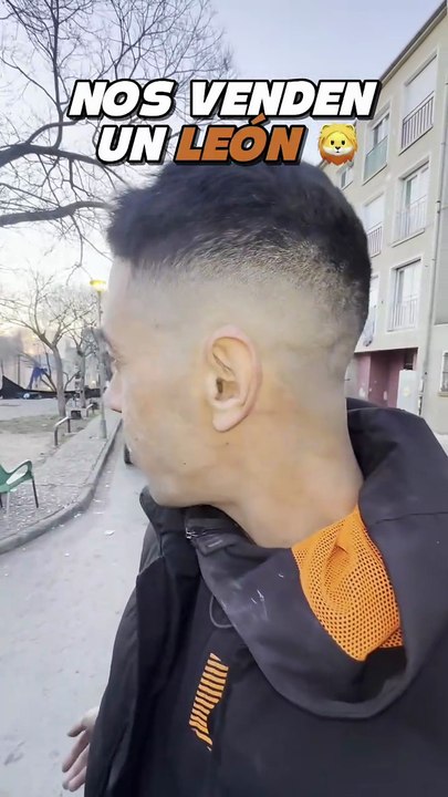 NOS VENDEN UN LEON 🦁🤣🇪🇸 #gitanos #humor #humornegro #comedia #negocio