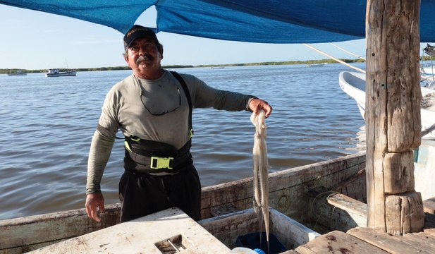 Anuncian programas de apoyo a pescadores durante temporadas de vedas en Yucatán