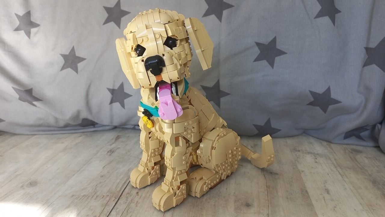 Wir haben den Golden Retriever Welpen von LEGO gebaut und zeigen euch seine Besonderheiten