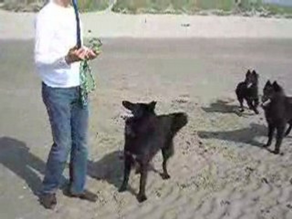 Le Touquet