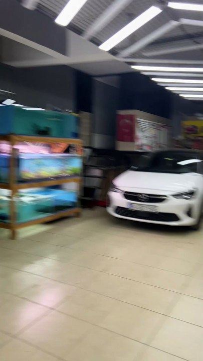 Oto Göçük Doktoru Boyasız Göçük Düzeltme Orijinal Düzeltme Kağıthane Telefon Aşağıda