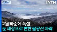 2월 하순 폭설...눈세상으로 변한 팔공산 자락 / YTN
