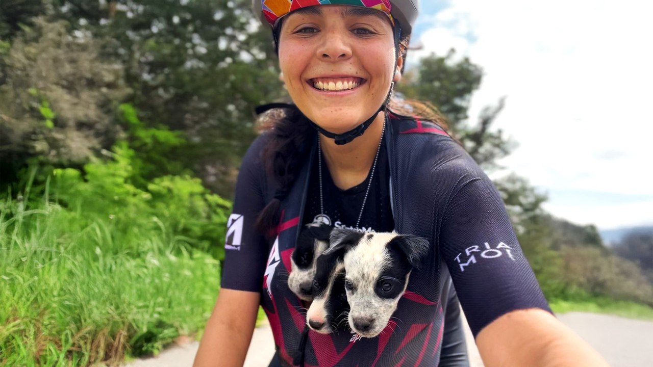 Friends On A Bike Ride Find A Litter Of Abandon...