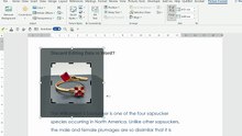 Discard Editing Data in Word