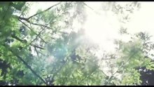 藏(1995) pt.2