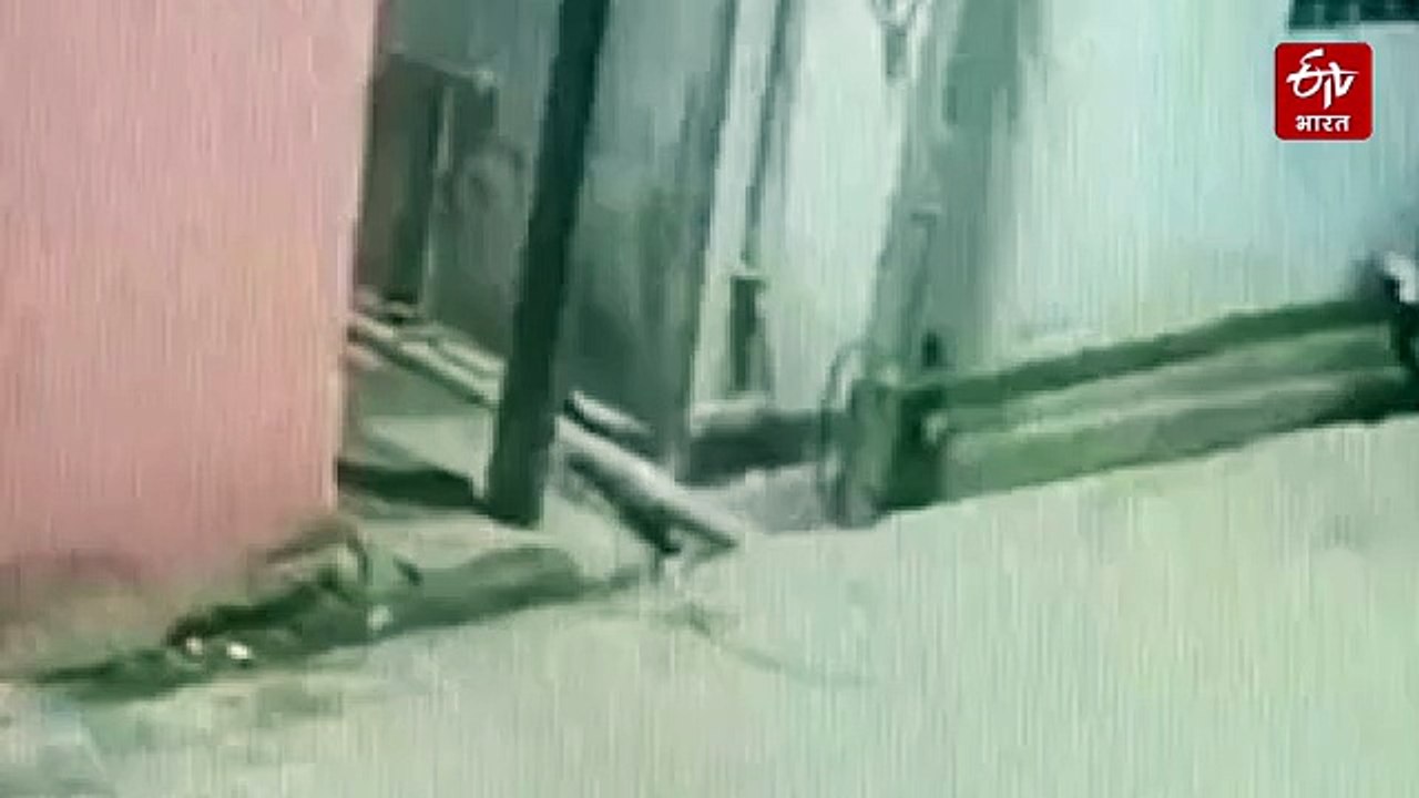 सवाई माधोपुर में लेपर्ड का मूवमेंट, सीसीटीवी में कैद नजारा, देखिए