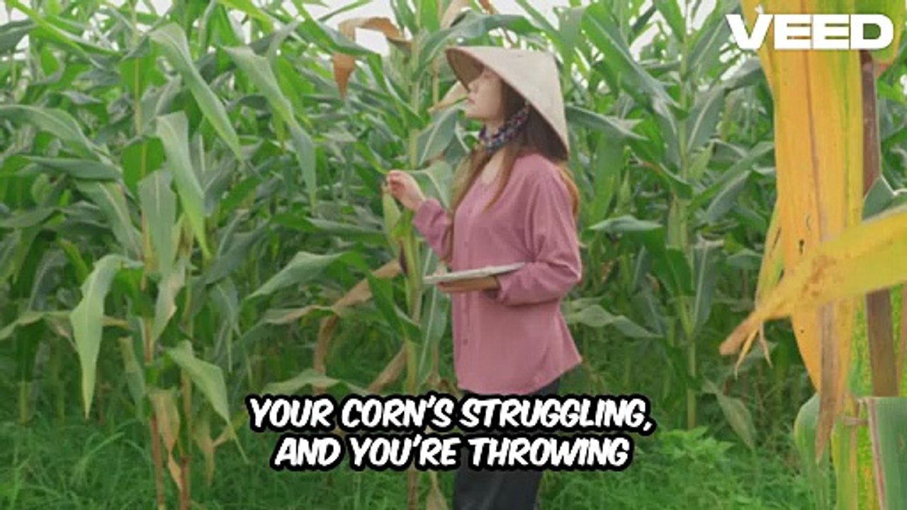 Corn Farming Tips by Benedict T. Palen, Jr.