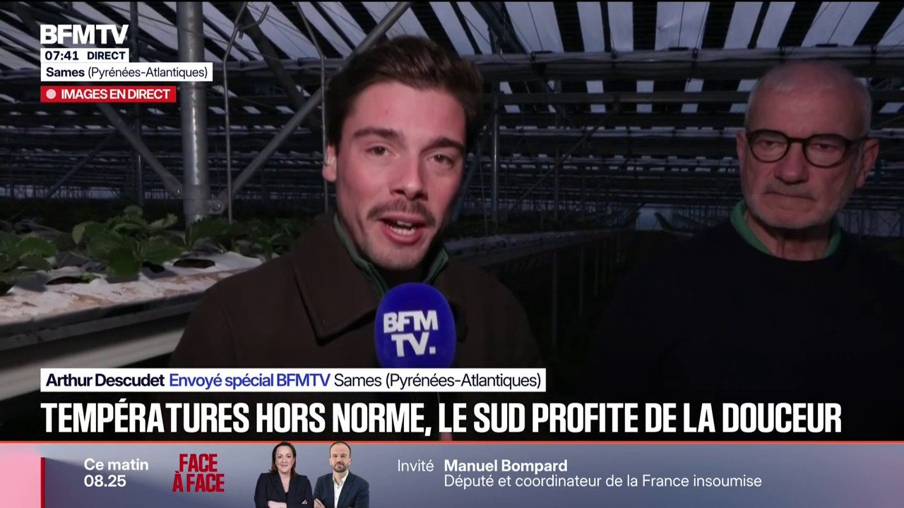 "C'est une très bonne nouvelle": ce producteur de fraises dans les Pyrénées-Atlantiques se satisfait du retour du soleil