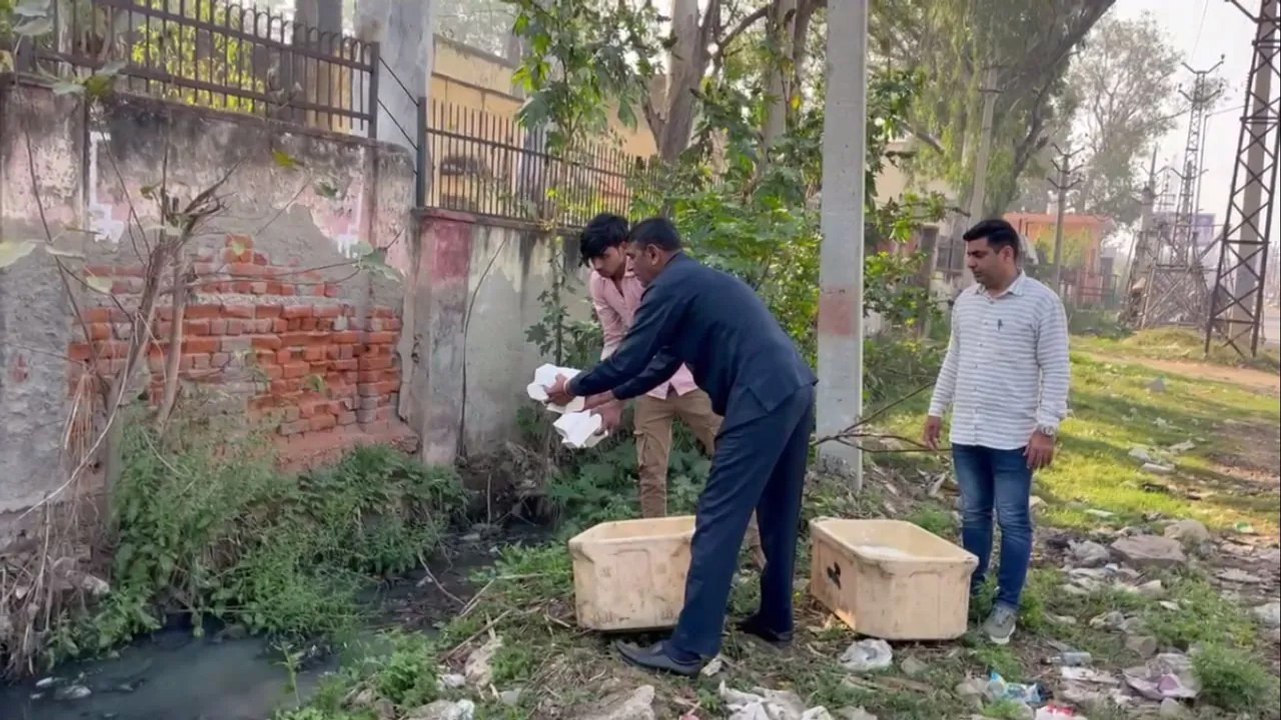 कार्रवाई: 180 किलो मिलावटी एवं सिंथेटिक पनीर कराया नष्ट