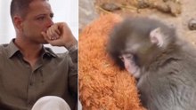 Chicharito Hernández llora con Punch Monkey, el mono bebé que es tendencia mundial