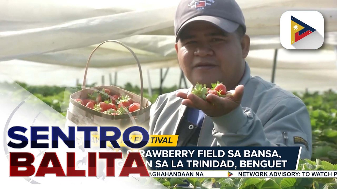 Strawberry Festival ng La Trinidad, Benguet sa Marso, inaabangan; giant strawberry cake, ibibida | ulat ni Christine Bornolla-Sabaway - PTV Cordillera