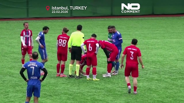 Video: Gabbiano salvato con il massaggio cardiaco dal capitano di Istanbul dopo un pallone