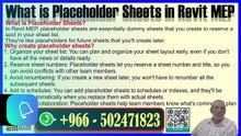 Mastering Placeholder Sheets in Revit MEP Plan, Organize, and Streamline Your WorkflowPart-93