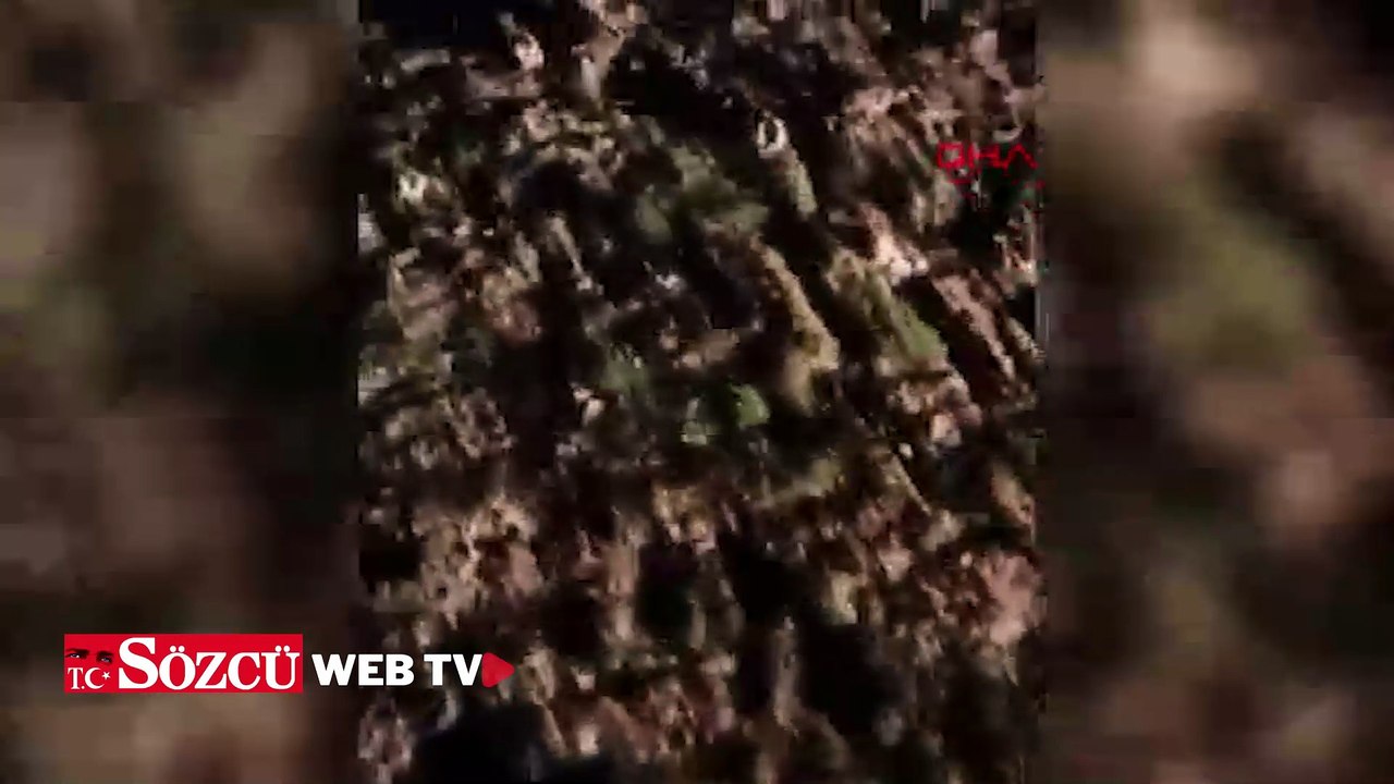 Kırşehir’de 13 hayvan, ölü bulundu