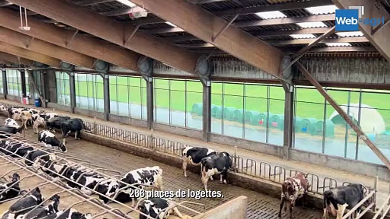 Quatre fois plus de lait grâce à la robotisation sur le Gaec des Bohons