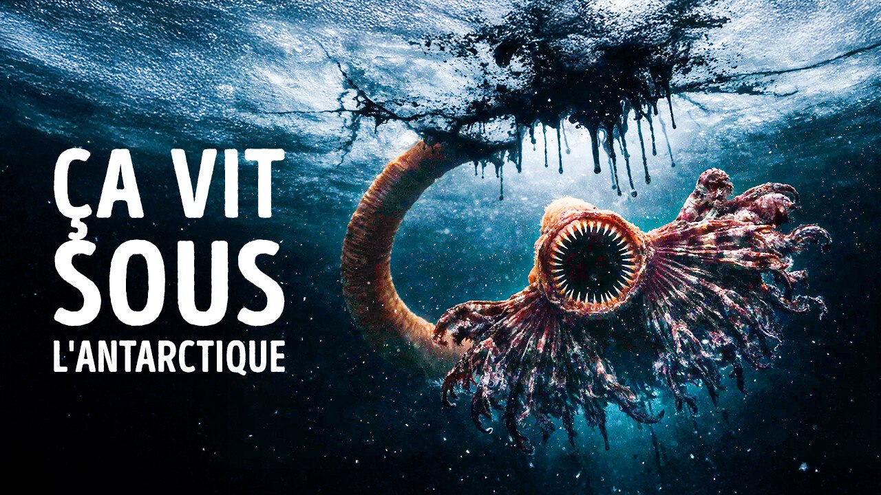 Des scientifiques viennent de découvrir un méga-système caché sous la glace de l'Antarctique